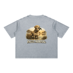 "Retriever at Dusk" Short Sleeve Boxy Washed Tee