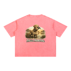 "Retriever at Dusk" Short Sleeve Boxy Washed Tee