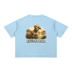 "Retriever at Dusk" Short Sleeve Boxy Washed Tee
